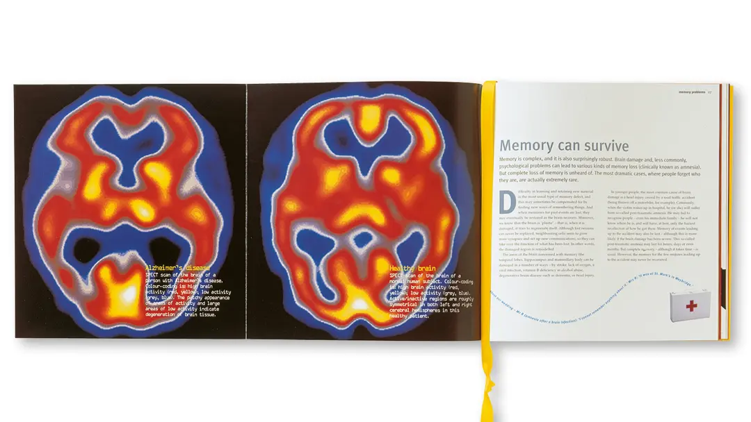 Alzheimer's Society memory book spread 90's